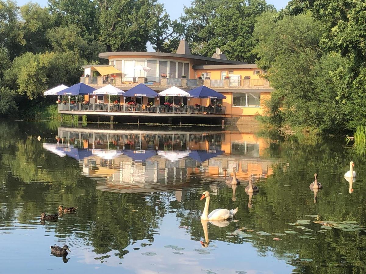 Pension Am See Torgau Exteriör bild